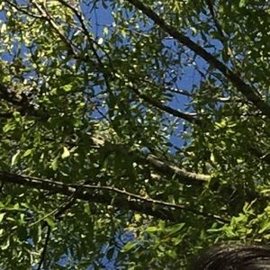 Meet your Posher, Natalia